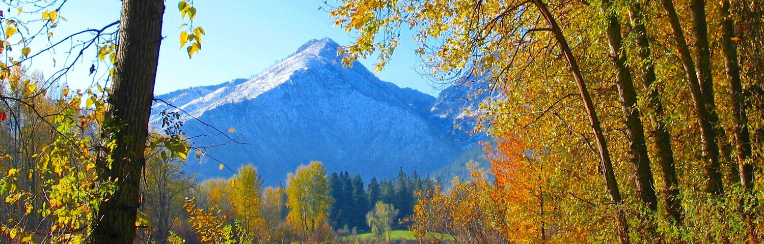 Fall colors with Wedge Mountain in the background
